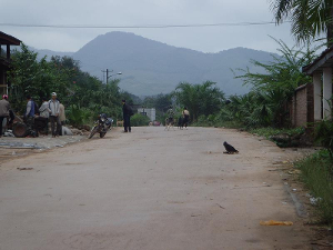 通柏油路