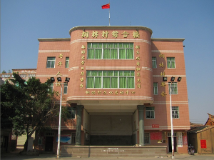 桐林村