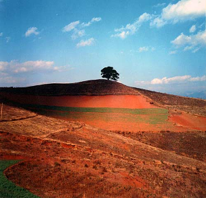 东川红土地