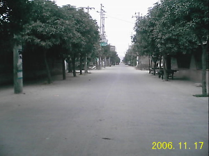 黄石社区大道