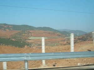 东川镇