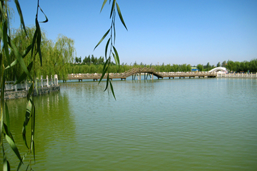 2003年春天,雷泽湖水库开工建设.这是一项投资4亿元人民币的大工程.
