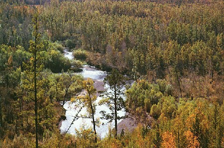 亚寒带针叶林气候图片图片