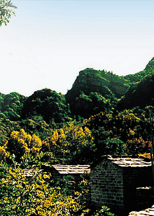江津长寿村图片
