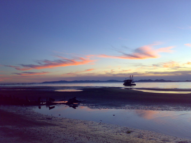 柘林镇(广东省潮州市饶平县柘林镇) - 搜狗百科