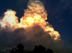 水子实拍火红蘑菇云