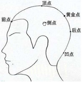 头型与发型设计