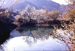 九上沟生态园