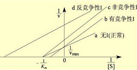 酶体系 - 搜狗百科