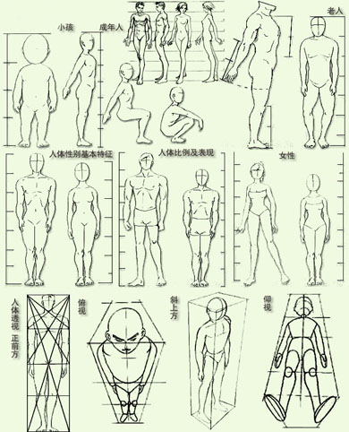 比例模型和填充模型图图片