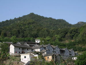 桥溪村