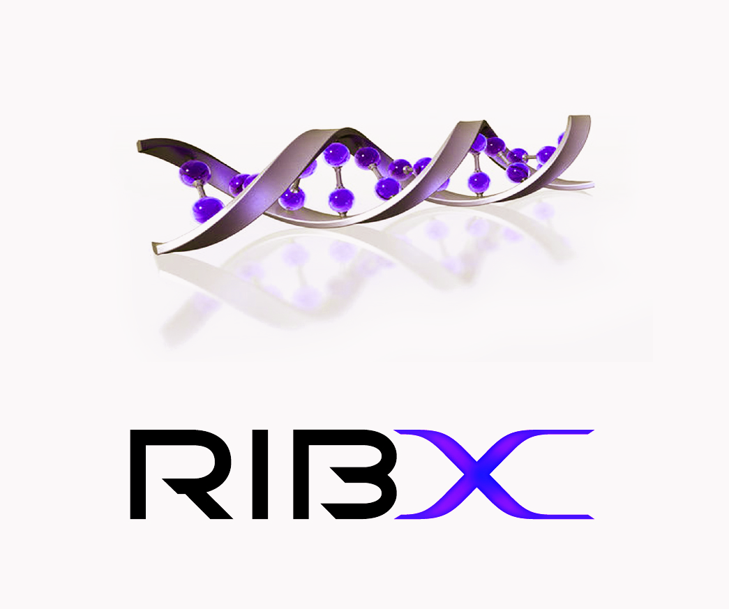 x造型为生物基因的双螺旋结构,代表生命,探索与未来.