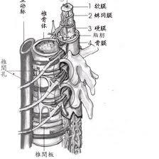 腰椎管狭窄症