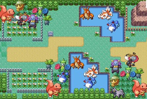 口袋怪兽火红版