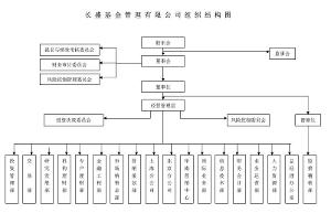 长盛基金管理有限公司组织结构图
