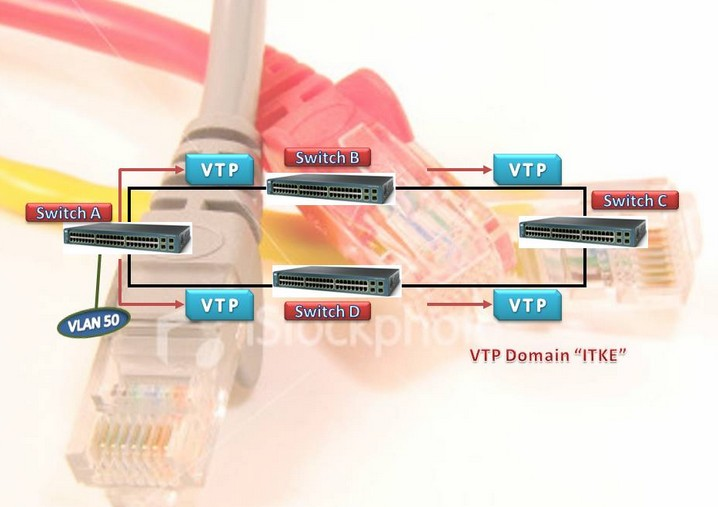 Формат vtp чем открыть