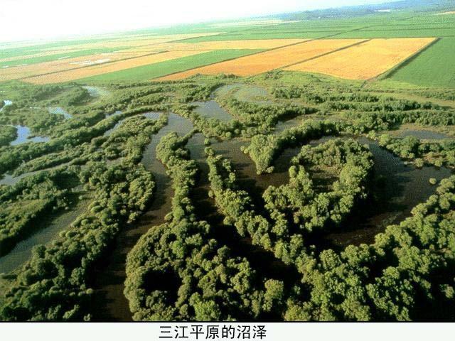 基本释义           词语解释    【词目名称】沼泽