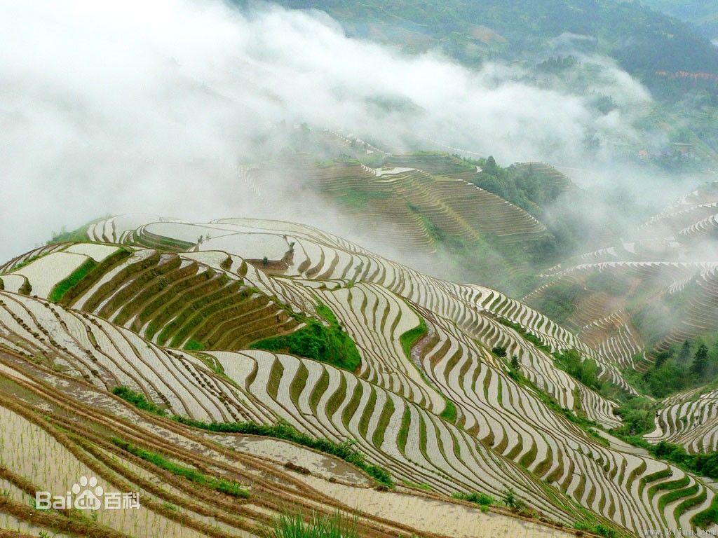 黄土水平梯田(terraced fields in loess)是在坡面上沿等高线修筑的
