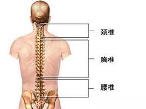 下颈椎不稳症
