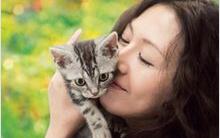 2008 グーグーだって猫である