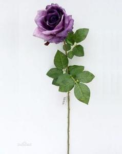 六月三日生,生日花,法国玫瑰(frenchrose)