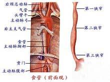 药物性食管炎