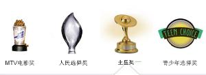 获奖记录