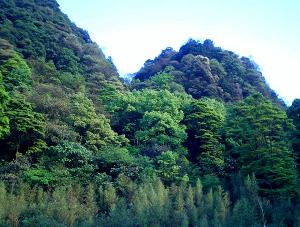 缙云山