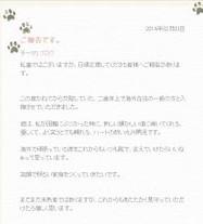 博客内容