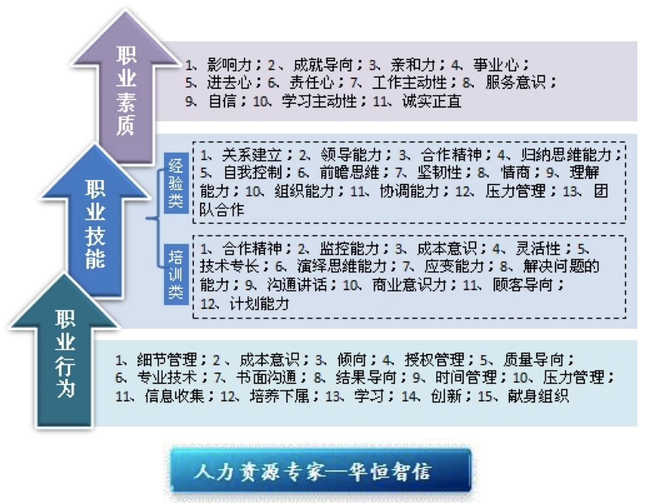 人才画像和胜任力模型图片