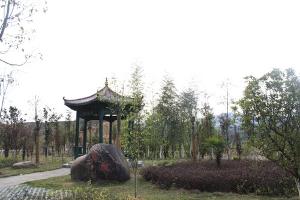 高阜镇