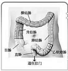 小肠破裂