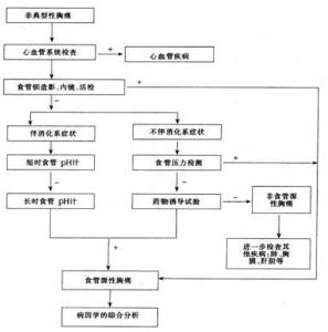 食管源性胸痛诊断程序