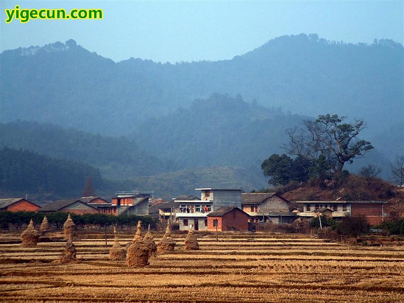 峡江县毛爱华简介图片