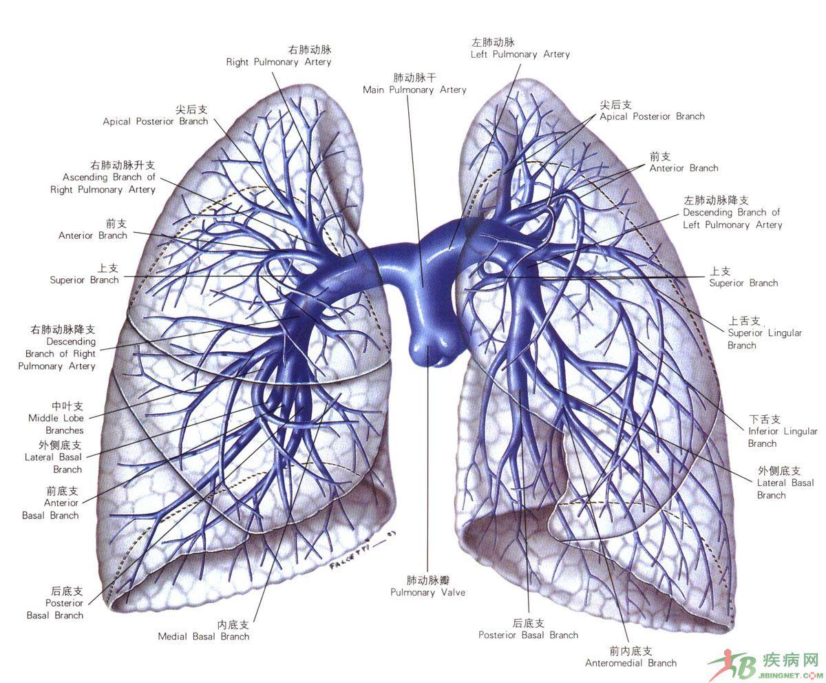 儿童弥漫性肺淋巴管瘤病CT表现