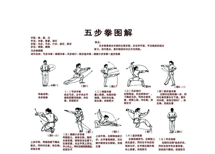 拳击步法教学图片