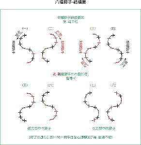 强核力粒子:胶子-内部结构模型图