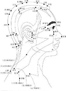 维道