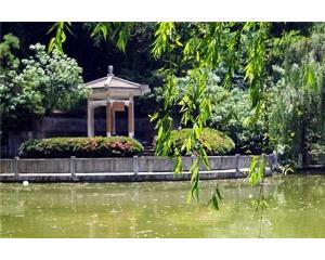 枇杷山公园