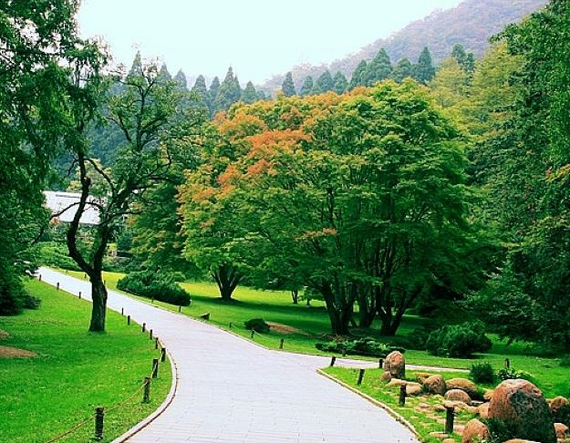 庐山植物园图片