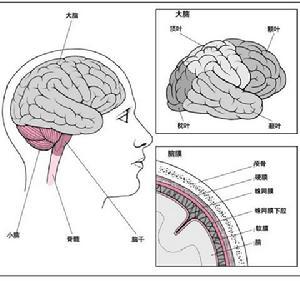 颅内压增高综合症 - 搜狗百科