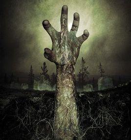 例如《末世之丧尸无敌》,《丧尸母体》!