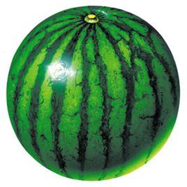 果实卵形,绿皮上覆10余条墨绿色条带,皮厚适中,韧性好.