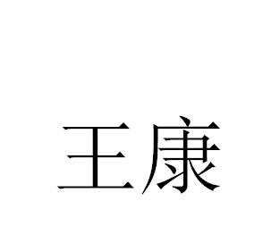 王康(南朝宋将领)