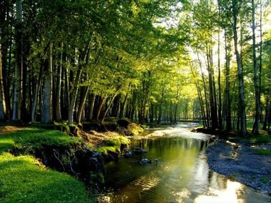 快活林(公园),1982年正式规划为公园,位于乌拉斯台河流经塔城市区北端