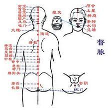 背俞穴