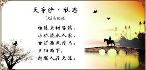 断肠人在天涯