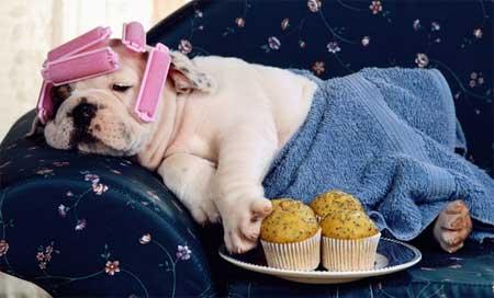 伤病困扰下热火凯尔特人仍上演高强度对抗季后赛成色尽显