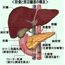 胆道癌 搜狗百科