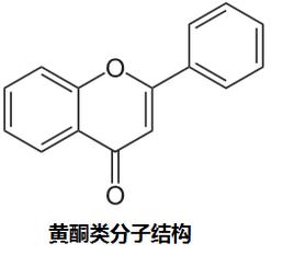 类黄酮